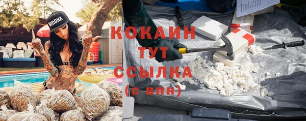 стаф Баксан