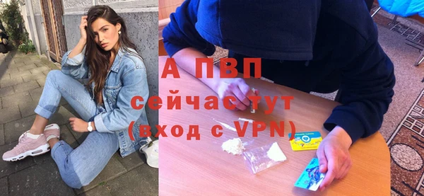 стаф Баксан