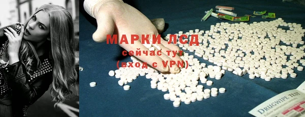 ECSTASY Покачи
